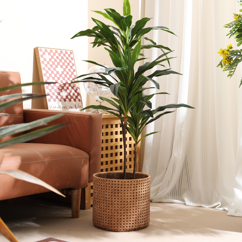 Furnitur untuk apartemen beruk - Furniture Paradise & Hardware Ghaziabad ulasan dan harga